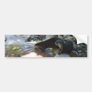 Pegatina Para Coche Otters Bebe, Bumper Sticker
