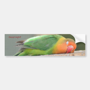 Pegatina Para Coche Pájaro del amor durmiendo