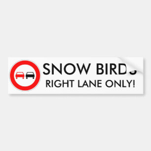 Pegatina Para Coche Pájaros de la nieve
