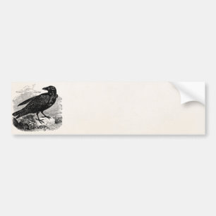 Pegatina Para Coche Pájaros personalizados cuervo del pájaro del neg
