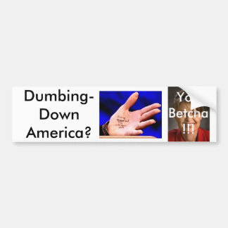 Pegatina Para Coche Palin3