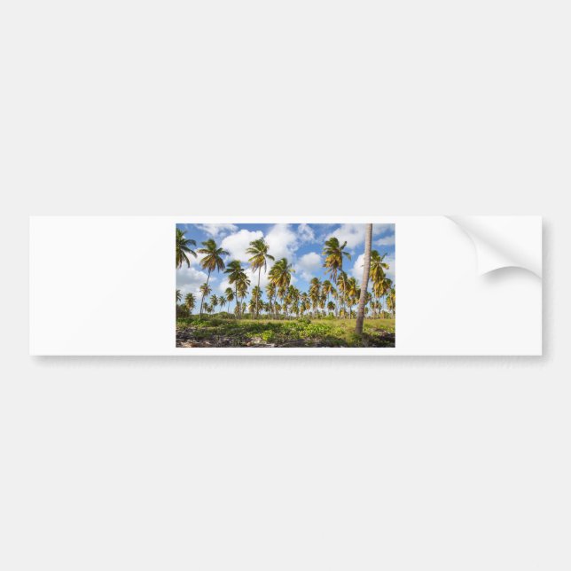 Pegatina Para Coche Palmeras en la playa de Isla Saona (Frente)