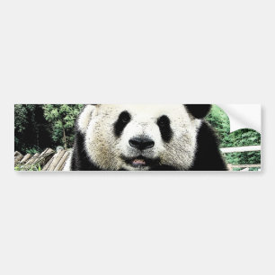 Pegatina Para Coche Panda