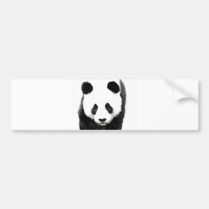 Pegatina Para Coche Panda