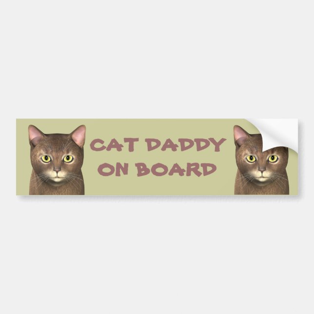 Pegatina Para Coche Papá Gato A Bordo (Frente)