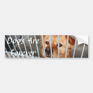 Pegatina Para Coche Para siempre