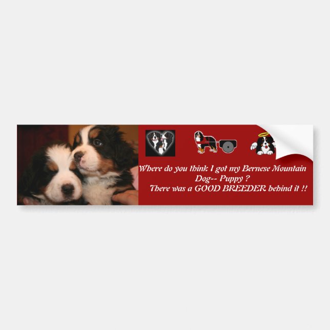 Pegatina Para Coche PARACHOQUES del perrito de Berner (Frente)