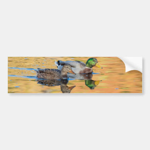 Pegatina Para Coche Pareja de Mallards
