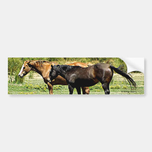 Pegatina Para Coche Pares de caballos