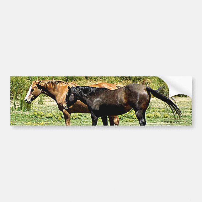Pegatina Para Coche Pares de caballos (Frente)