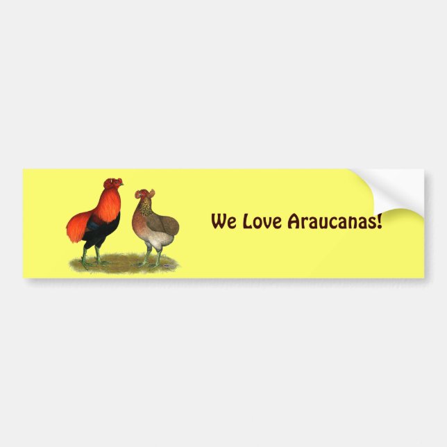 Pegatina Para Coche Pares del rojo de Araucana (Frente)