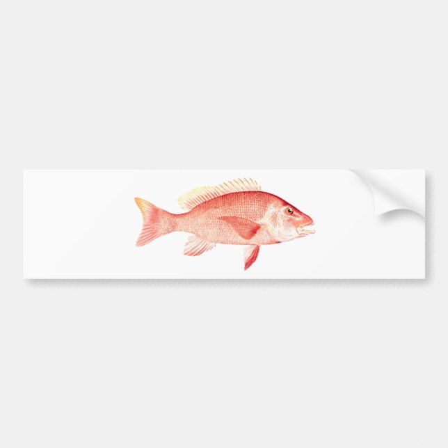 Pegatina Para Coche Pargo rojo (Frente)