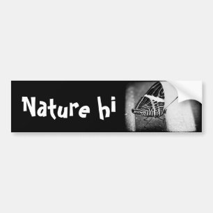 Pegatina Para Coche paso de mariposa