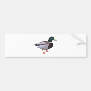 Pegatina Para Coche Pato del pato silvestre