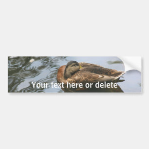 Pegatina Para Coche Pato Dormilón Naturaleza Personalizada