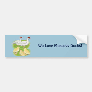 Pegatina Para Coche Patos de la familia Muscovy blanca