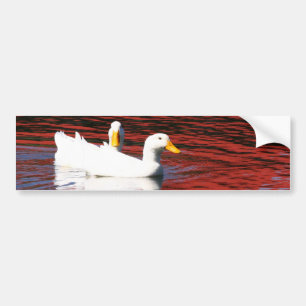 Pegatina Para Coche Patos Pekin