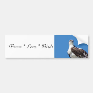 Pegatina Para Coche Peace Love Birds Bumper Sticker
