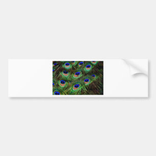 Pegatina Para Coche Peacock Feathers
