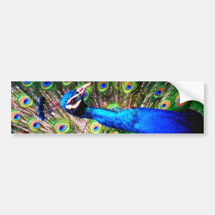Pegatina Para Coche Peacock, Love_