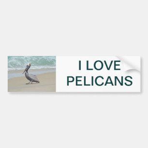 Pegatina Para Coche Pelícano en Outer Banks OBX NC