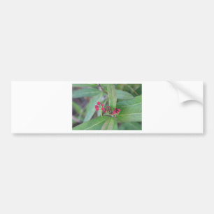 Pegatina Para Coche Pequeñas floraciones de la primavera