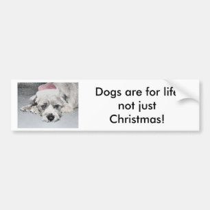 Pegatina Para Coche Pequeño perro triste del navidad