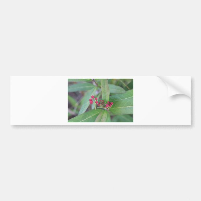 Pegatina Para Coche Pequeños brotes de primavera (Frente)