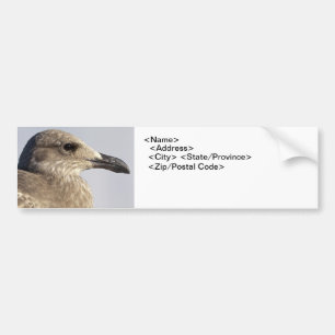 Pegatina Para Coche Perfil de gaviota