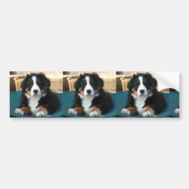 Pegatina Para Coche perrito de montaña de bernesa (Frente)