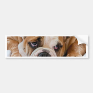 Pegatina Para Coche Perrito inglés del bulldog