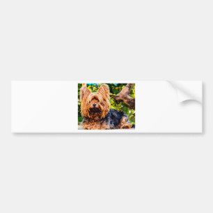 Pegatina Para Coche Perrito Lindo Mascota Yorkie Paz Amor Destino Dive