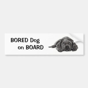 Pegatina Para Coche PERRO AGUJEREADO A BORDO: Arte del lápiz