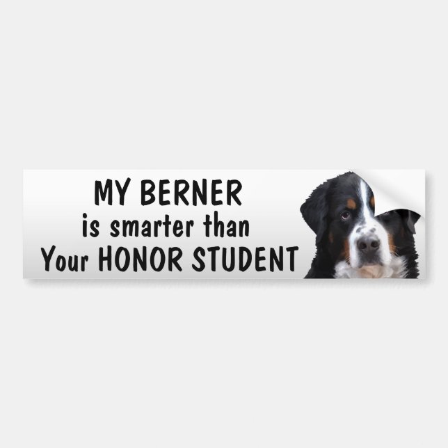 Pegatina Para Coche Perro de Bernese Mt - más elegante que estudiante (Frente)