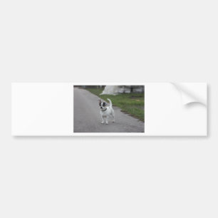 Pegatina Para Coche ¡Perro de terror que se ve lindo!