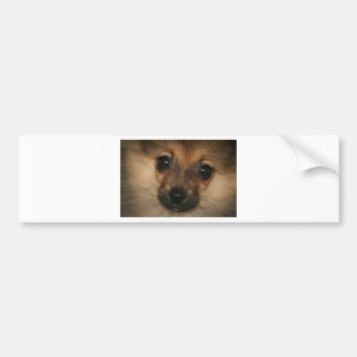Pegatina Para Coche Perro fantasma