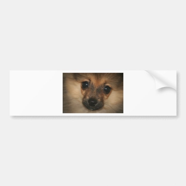 Pegatina Para Coche Perro fantasma (Frente)