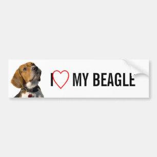 Pegatina Para Coche Perro lindo del beagle