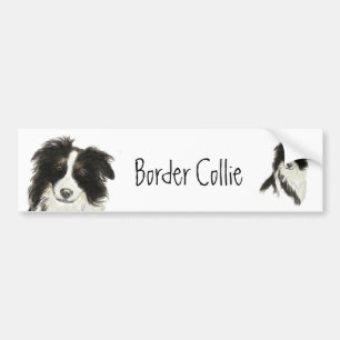Pegatina Para Coche Perro o del border collie