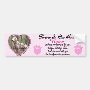 Pegatina Para Coche Perro o gato en memoria rosa