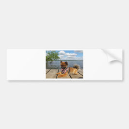 Pegatina Para Coche Perro picante adorable y peludo