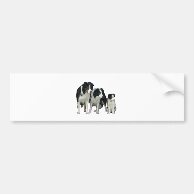Pegatina Para Coche Perros de color de borde (Frente)