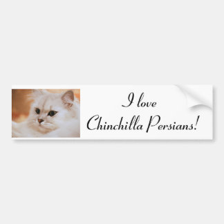 Pegatina Para Coche Persas de la chinchilla del ~ de Freddie