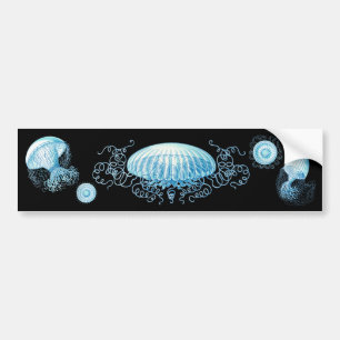 Pegatina Para Coche Personalizable Haeckel Jellyfish