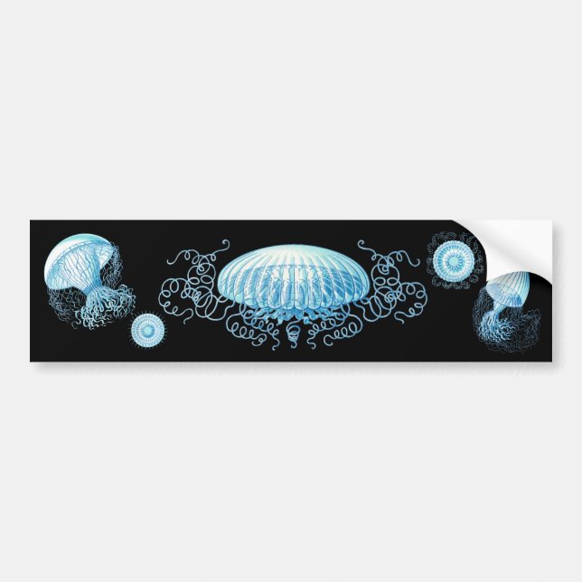 Pegatina Para Coche Personalizable Haeckel Jellyfish (Frente)