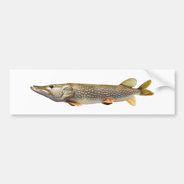 Pegatina Para Coche Pesca de Pike Muski (Frente)