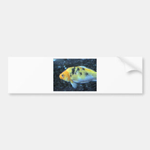 Pegatina Para Coche Pescado de oro visto
