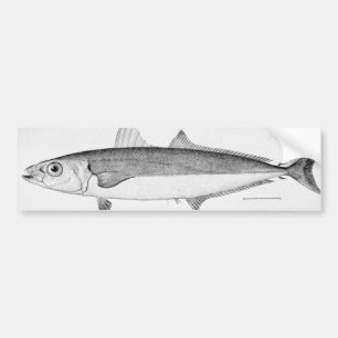 Pegatina Para Coche Pescados del cigarro