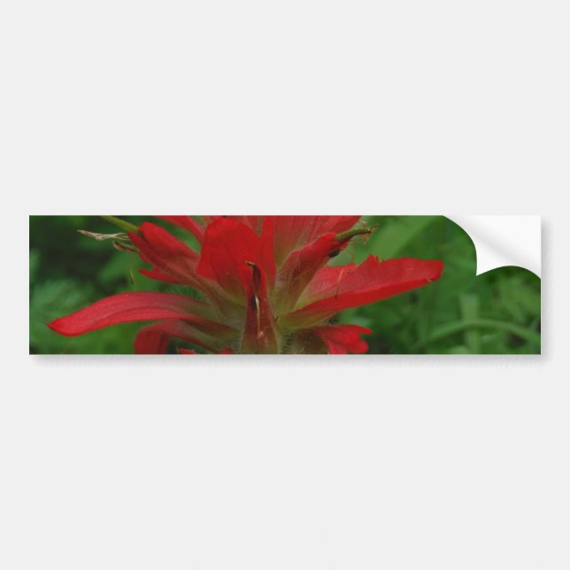 Pegatina Para Coche Pincel de pintura indio (Frente)