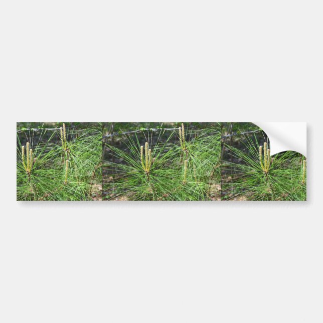 Pegatina Para Coche Pine Needles por Kenneth Yoncich (Frente)